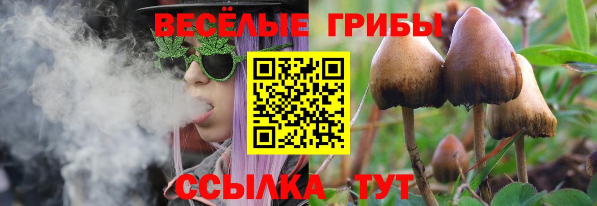 Рыбинск  Псилоцибиновые грибы мухоморы  Галлюциногенные грибы MAGIC MUSHROOMS  Вход с VPN 